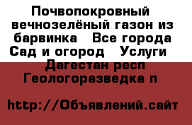 Почвопокровный, вечнозелёный газон из барвинка - Все города Сад и огород » Услуги   . Дагестан респ.,Геологоразведка п.